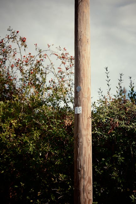 A wooden utility pole with a metallic tag set against a natural foliage background