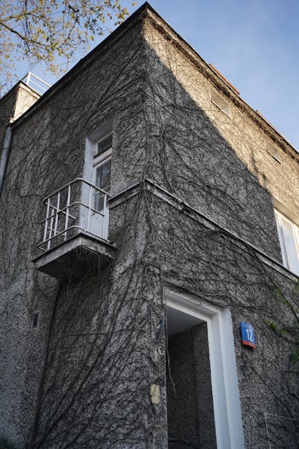 Classic stone building covered in natural vines featuring a small balcony